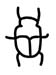 Scarab beetle hieroglyph