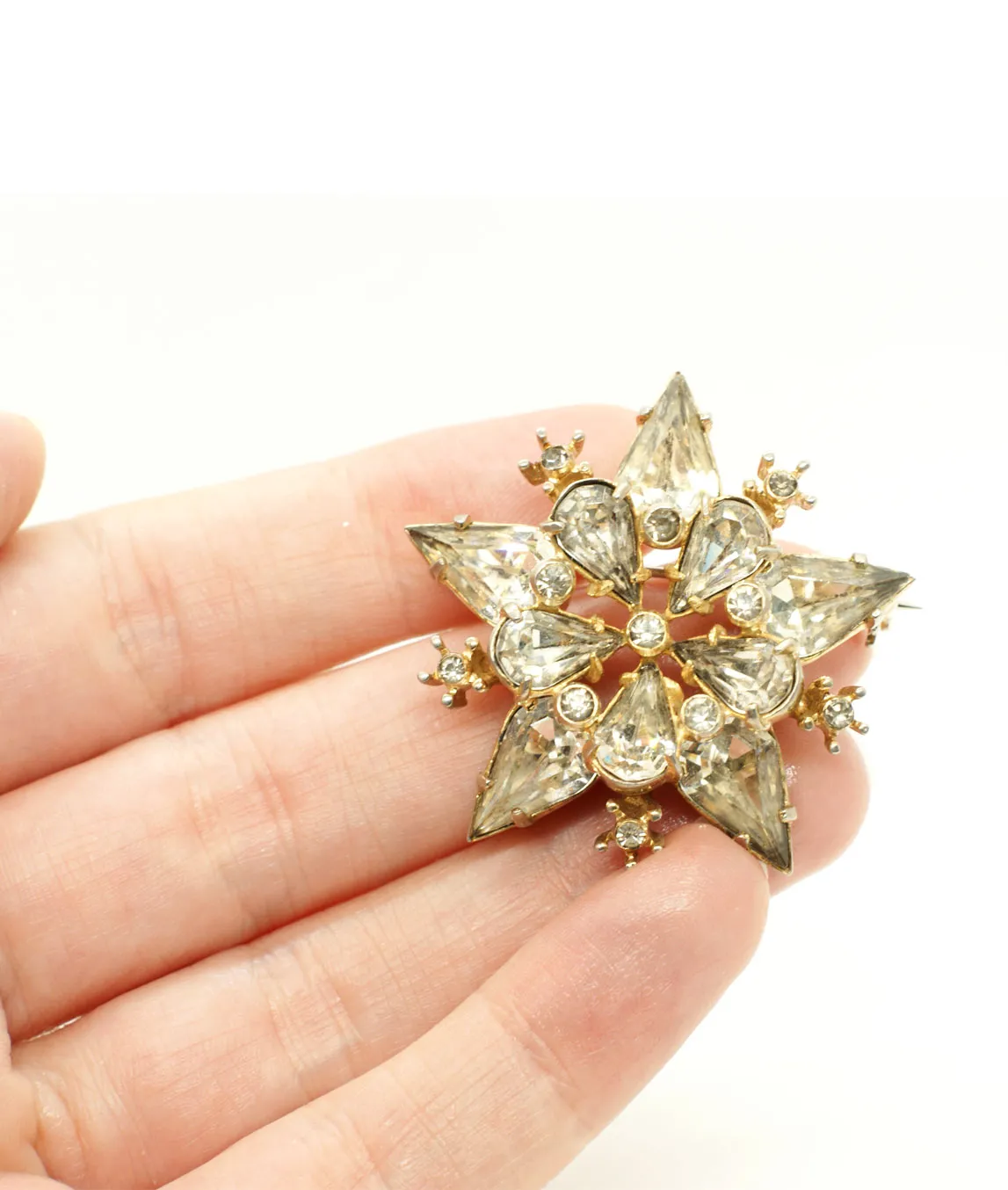 Eisenberg star pin in the hand