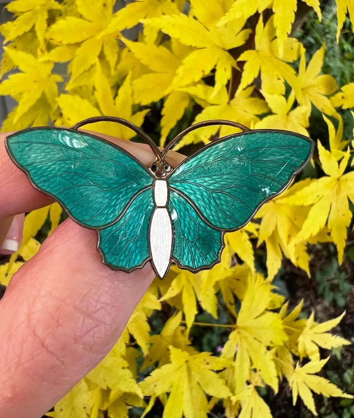 Aksel Holmsen turquoise butterfly pin with white body on yellow background