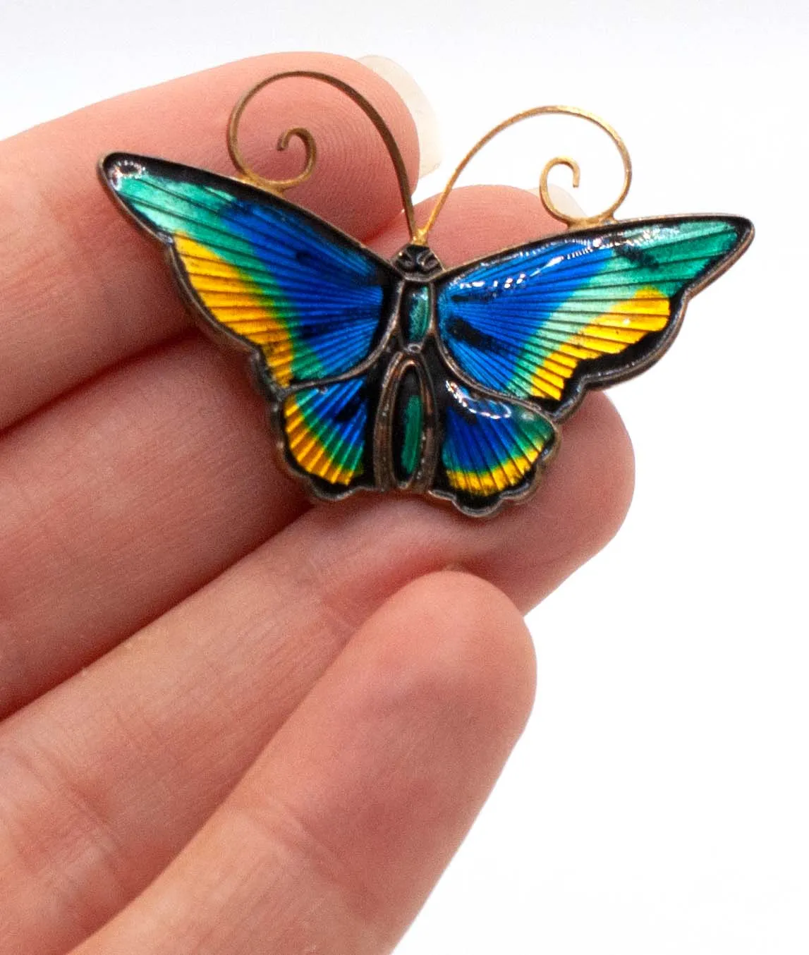 Yellow blue and green enamel butterfly brooch by David Andersen held in a hand